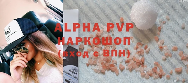 apvp Горняк